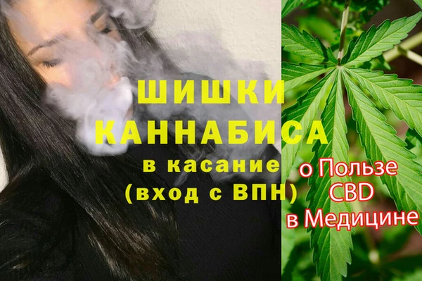 гидра Валдай