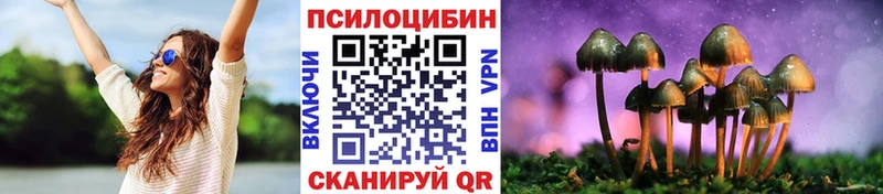 Псилоцибиновые грибы мухоморы  блэк спрут сайт  Сольцы 